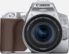 Canon EOS 250D spiegelreflex Zilver + EF S 18 55mm f/4 5.6 IS STM online kopen