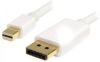 Startech Mini DisplayPort naar DisplayPort 1.2 kabel 2 meter online kopen