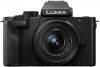Panasonic Lumix G100 + 12 32mm f/3.5 5.6 ASPH Mega O.I.S. online kopen